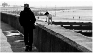 Un señor camina por un puente junto al mar con total tranquilidad, mientras un perrito, con correa, pasea por encima del muelle, mirándolo
